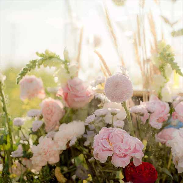 La rose dans la parfumerie