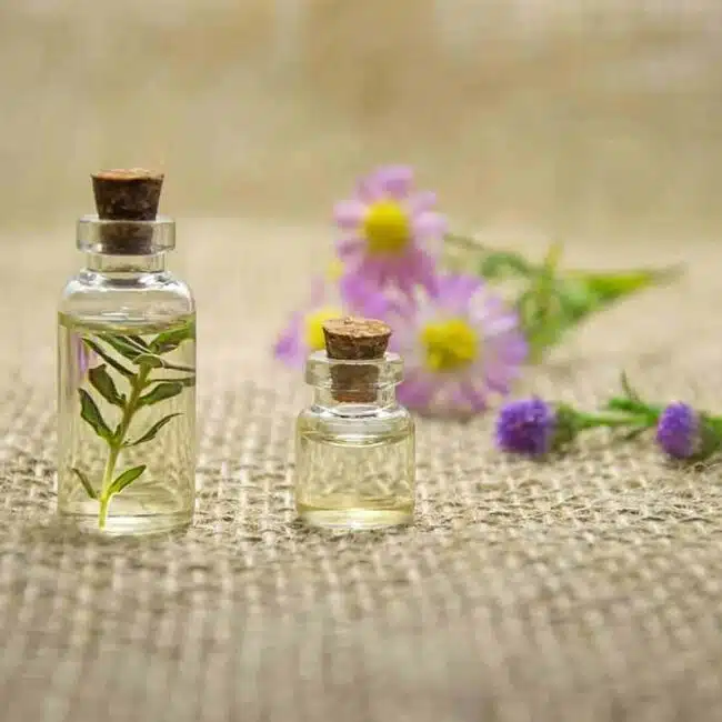notes floral blog sdp famille olfactive