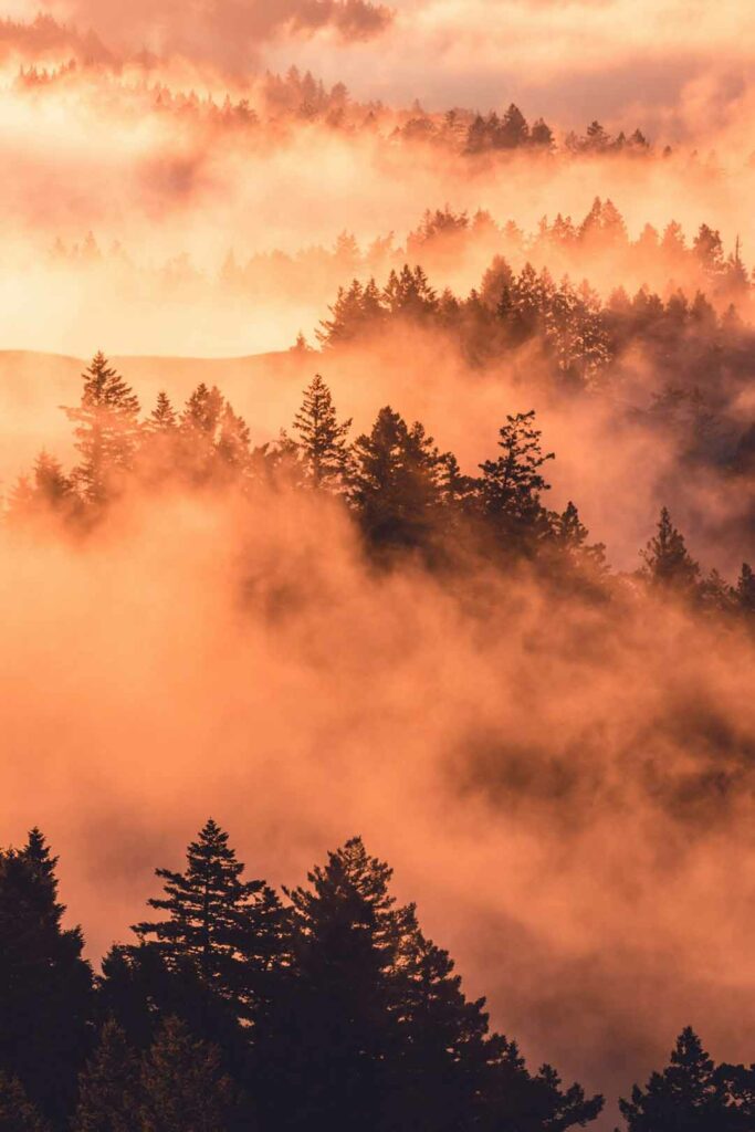 quel parfum choisir en fonction de la saison