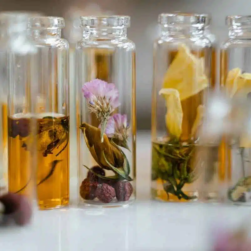 the different olfactory families