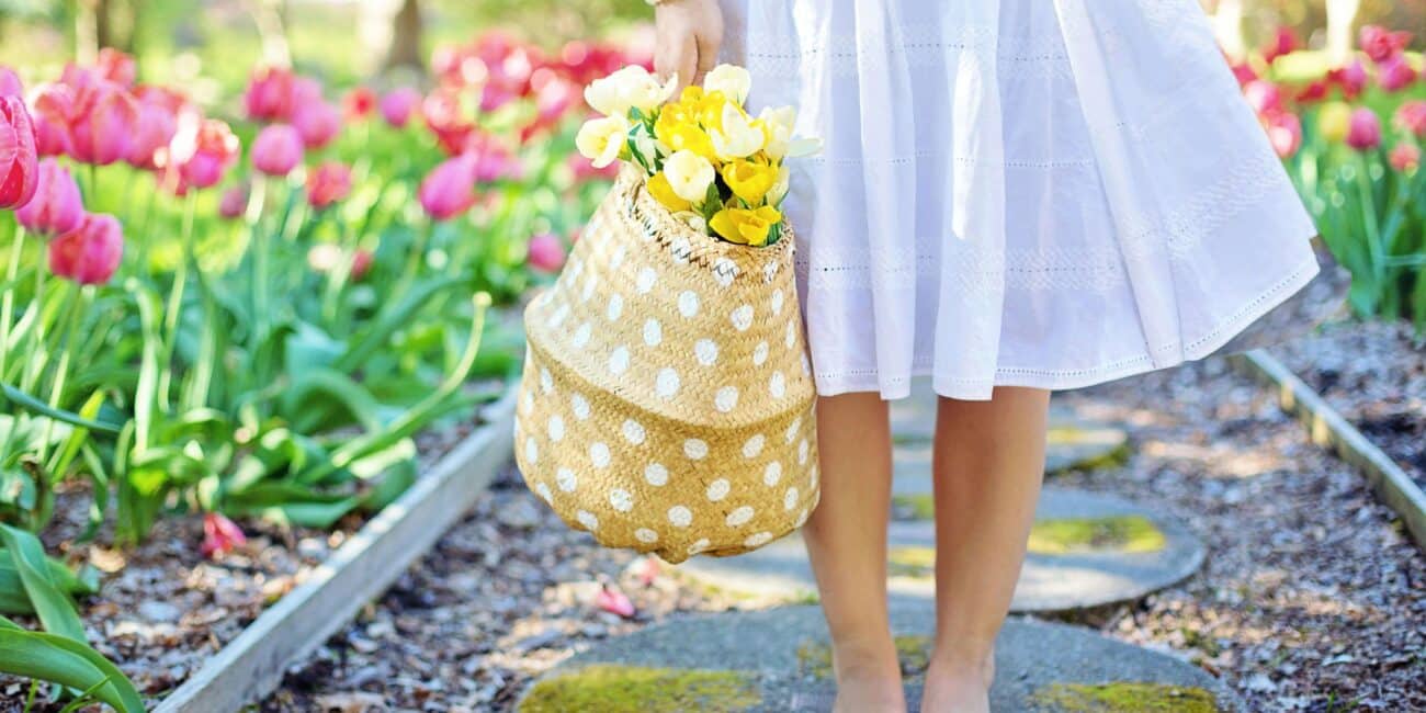 parfum d'ete_ après-midi-midi ensoleillee jardin