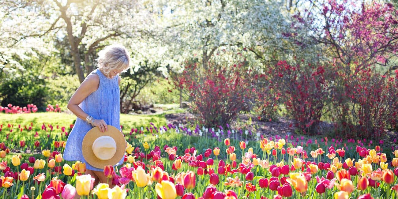 parfum d'ete_ après-midi-midi ensoleillee jardin