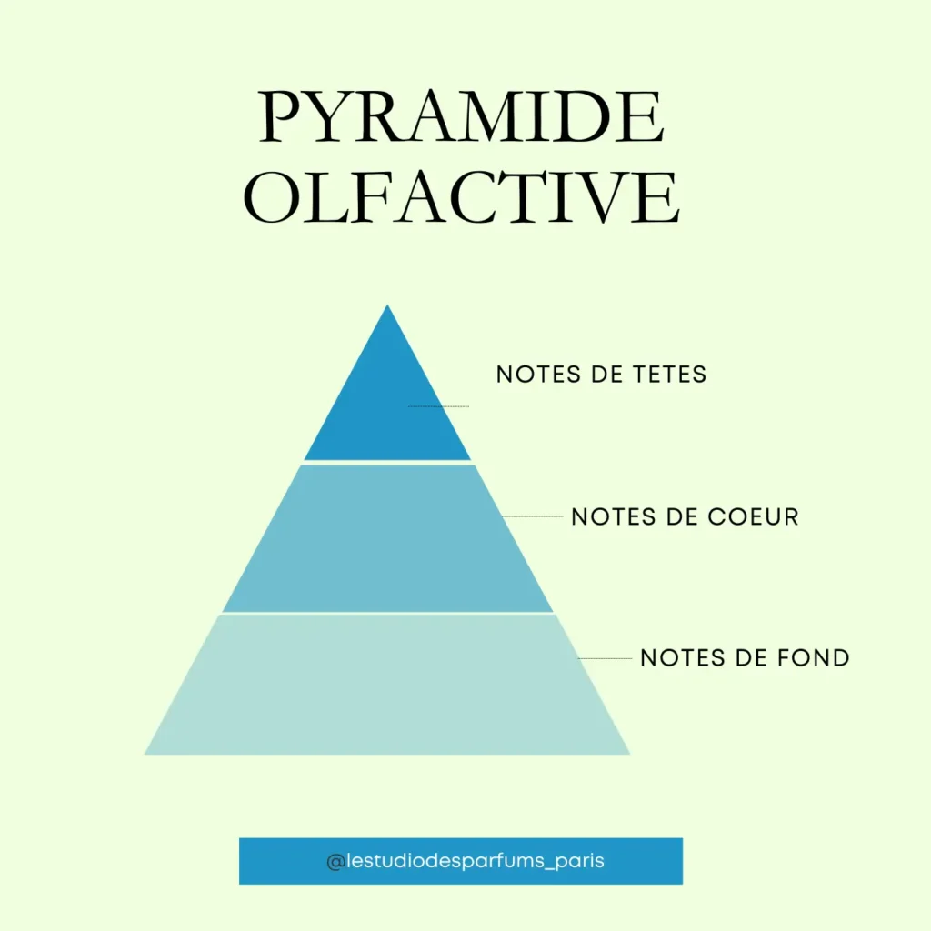 pyramide olfactive