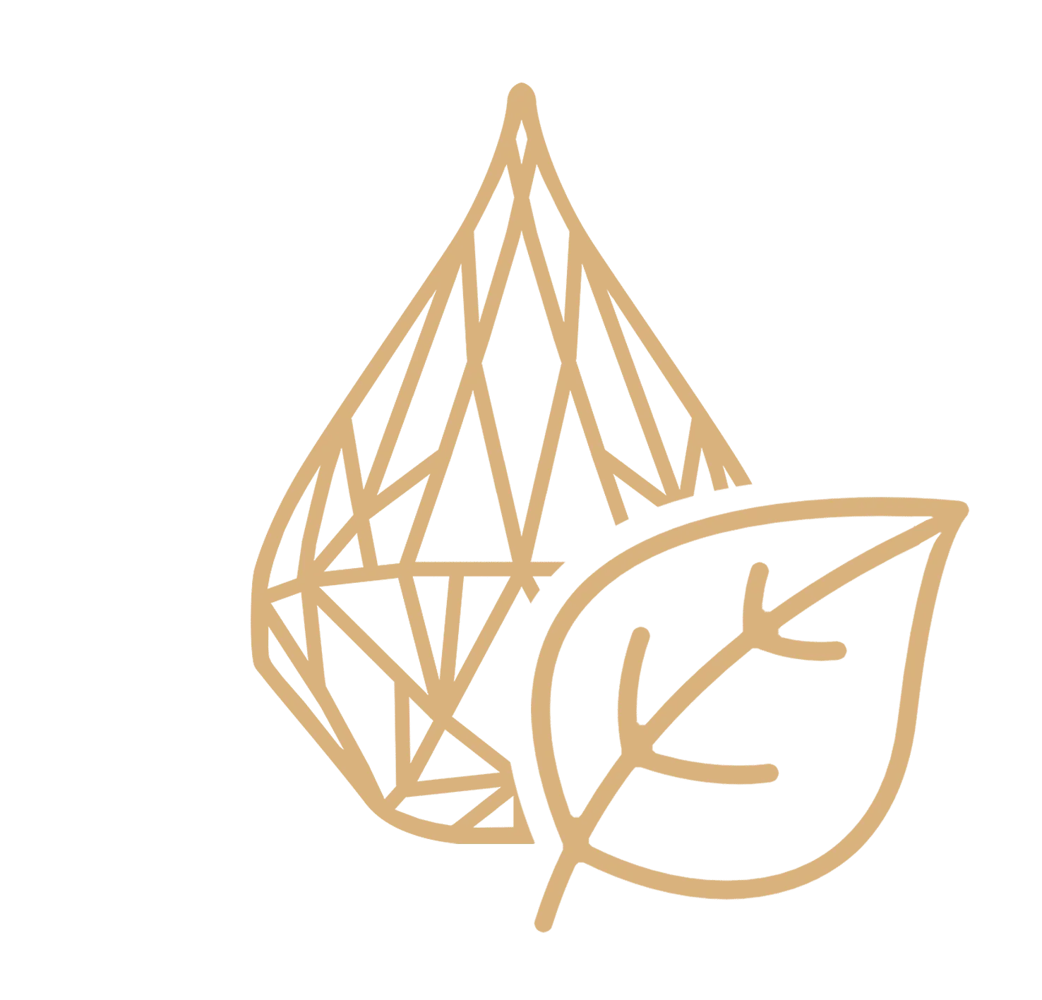 picto-sdp-nature.png